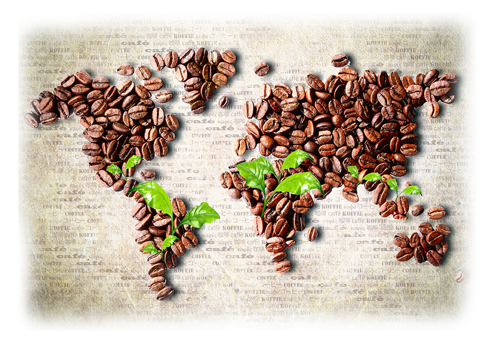 Kawy ze świata